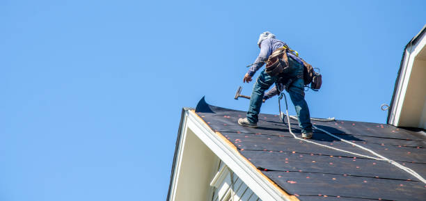 Best Roof Maintenance Services  in Franklinton, NC